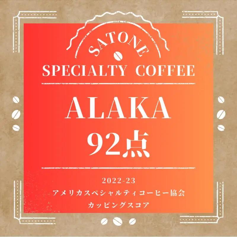 スペシャルティコーヒー焙煎豆 浅煎り 300g 定期便 全12回 12か月【毎月配送コース】