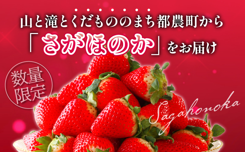 先行予約≪数量限定≫都農町産いちご「さがほのか」計1kg フルーツ 果物 デザート イチゴ 国産_T015-0011