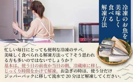 訳あり 塩サバ切身 約2kg ノルウェー産 冷凍 塩サバ 冷凍サバ サバ切身 塩サバ切身 大一奈村魚問屋