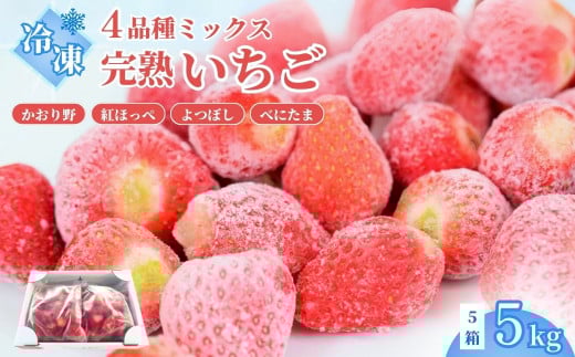 いちご 冷凍いちご 5kg | いちご 冷凍 先行予約 イチゴ 苺 ストロベリー ベリー 食べ比べ 果物 くだもの フルーツ 野菜 美味しい おいしい 甘み デザート 朝食 スイーツ ギフト 贈り物 ビタミン 埼玉県 久喜市