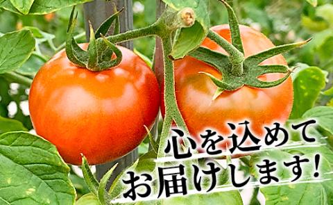 高品質！歩のフルーツトマト 約2kg 箱入り 先行予約 - とまと やさい 野菜 あまい さっぱり 贈り物 ギフト 贈答用 プチギフト 料理 アレンジ サンドイッチ サラダ 酸味 糖度 ga-0005