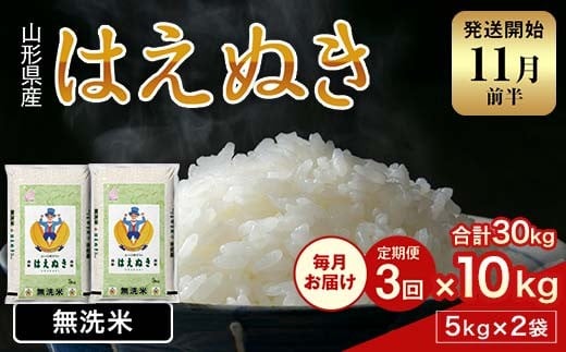 FYN1-978 【3回定期便・11月前半発送】令和7年産 新米 山形県産 はえぬき 10kg 2025年 お米 米 米米 ごはん ご飯 白米 国産 ブランド米 節水 時短 冷めてもおいしい贈答 ギフト 家庭用 自宅用 お取り寄せ 食品 山形県 西川町 月山 