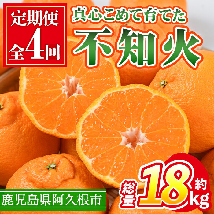 【ふるさと納税】＜定期便・全4回(12月・1月・2月・3月)＞鹿児島県産不知火ざんまい(総量約18kg) 国産 果物 フルーツ 柑橘 旬 しらぬい 定期便 頒布会 シラヌイ 数量限定 期間限定 阿久根市産【三笠農業生産】a-84-4-z