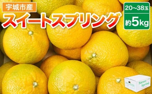 先行予約 みかん スイートスプリング 約5kg（20～38玉）【2025年12月下旬~2026年1月下旬頃発送予定】 ミカン 蜜柑 柑橘 果物 くだもの フルーツ 常温 【株式会社la Nui.】