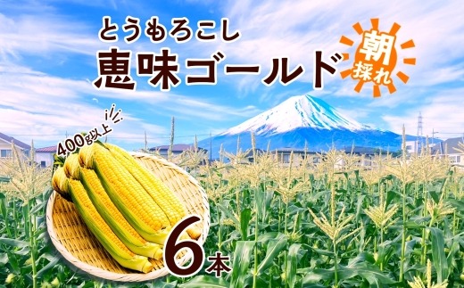 とうもろこし 恵味 ゴールド 400g以上 × 6本 高糖度 トウモロコシ スイートコーン 玉蜀黍 イエローコーン 黄 夏野菜 甘い ジューシー 野菜 おやつ 旬 産地直送 送料無料 湖南野菜出荷組合 山梨県 富士河口湖町 FEM001