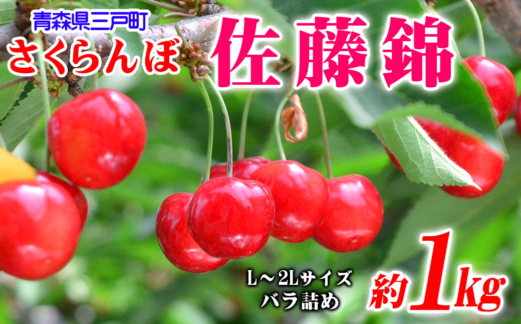 
            さくらんぼ【佐藤錦】 約1kg（L～2Lサイズ）バラ詰め【2025年産・先行予約】★2025年6月中旬～7月上旬頃にかけて順次発送予定★ 青森県三戸町産
          
