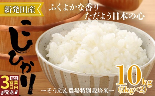 令和7年産 新潟県産 コシヒカリ 10kg 5kg×2袋 そうえん米 特別栽培米 お米 米 kome 白米 ご飯 こめ ごはん ライス ふるさと納税米 コシヒカリ お弁当 玄米 そうえん米 数量限定 5kg × 2袋 とんとん市場 せいだ 新潟 新発田 とんとん市場のお米 D09_04