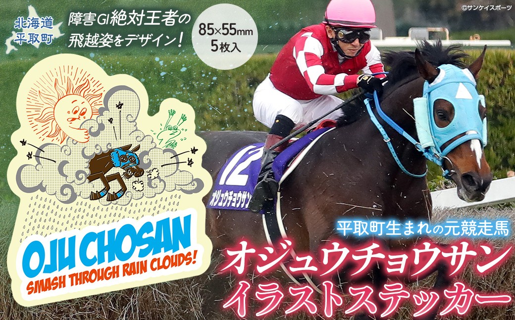 
                  【オジュウチョウサン】イラストステッカー5枚入り【ふるさと納税 人気 おすすめ ランキング 馬 競馬 競走馬 オジュウチョウサン グッズ 北海道 平取町 びらとり 送料無料】 BRTV018
                