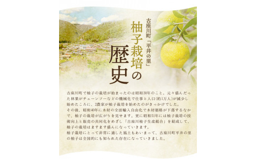 古座川町のゆずドリンク（はちみつ入り） はちみつ柚香ちゃん 160ml（6本入） ゆず 柚子 柚 ユズ ジュース ドリンク はちみつ【yuz108】