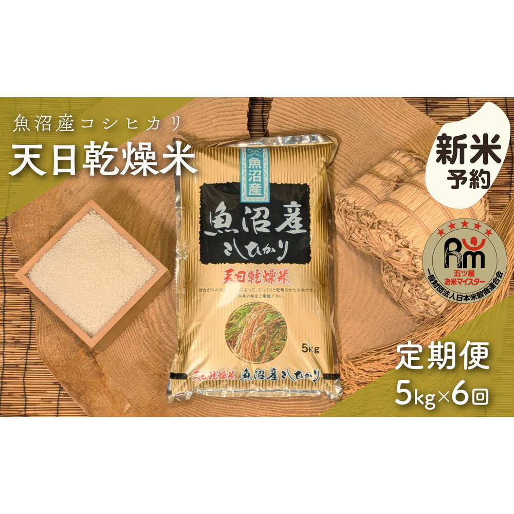 【ふるさと納税】【新米予約】【毎月定期便】令和7年産「五つ星お米マイスター」厳選　天日干し魚沼産コシヒカリ　精米5kg×6回 | お米 こめ 白米 食品 人気 おすすめ 送料無料
