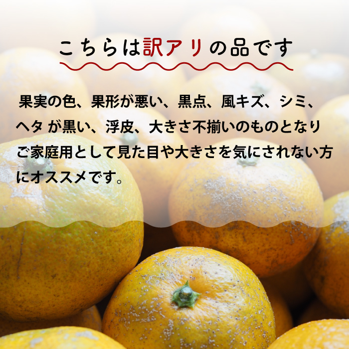 【おくはち農園】〈訳あり〉不知火 （しらぬい）2.5kg  《2026年3月～4月発送予定》栽培期間中 防腐剤 ワックス 不使用 旬 柑橘 かんきつ デコポン フルーツ 果物 瀬戸内 166009