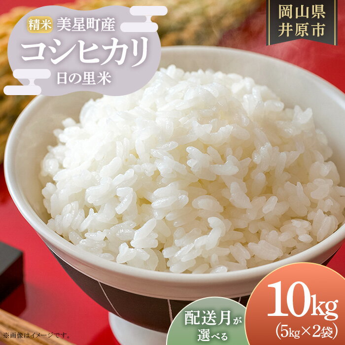 【ふるさと納税】新米予約 令和7年産 米 10kg コシヒカリ 小分け 精米 白米 お米 選べる 配送月 美星町産 コシヒカリ 日の里米 精米 5kg×2袋
