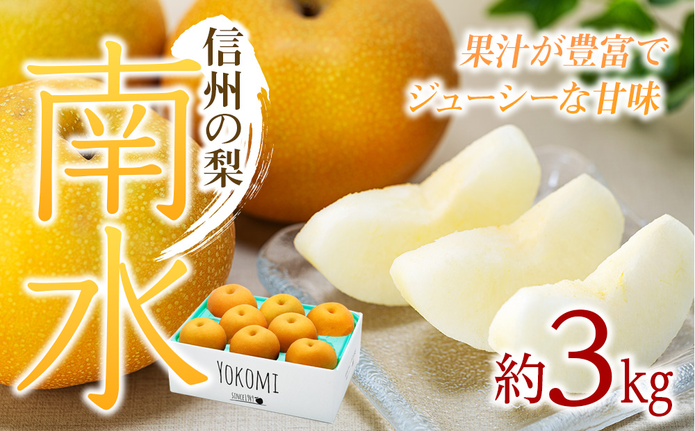 【2026年/令和8年発送分 】梨 長野 南水 約 3kg 信州の梨 フル