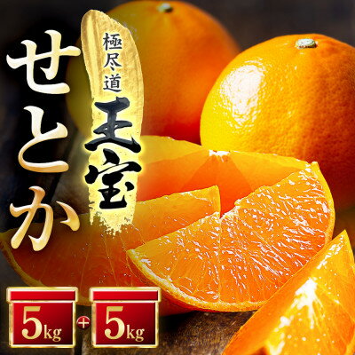 【ふるさと納税】「玉宝ブランド」【せとか】10kg【H64-48】【1511361】