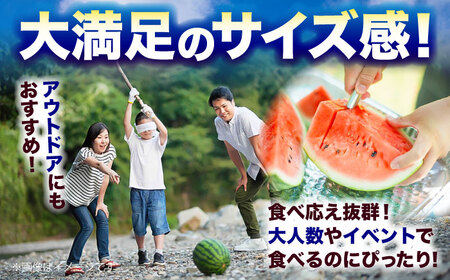 【先行予約】　大玉すいか 秀品 1玉 約6kg～9kg 【株式会社 Foody’s】[AYAT006]