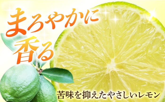 【長崎県長与町産】璃の香 （ りのか ） 約3kg レモン