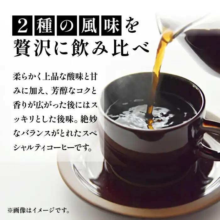 キリマンジャロコーヒー 2種飲み比べ[VAS121] コーヒー