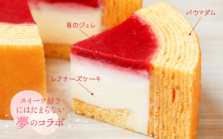 マダムフロマージュ 230g × 2個 (約4号：直径11cm) 《冷凍便》 ～ふんわりしっとりバウムとレアチーズ～【スイーツ お菓子 洋菓子 お土産 ギフト おもたせ 手土産 のし対応 ラッピング可
