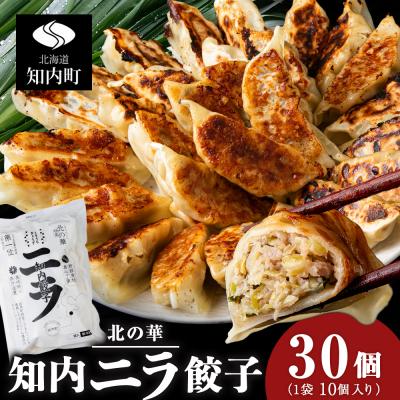 ふるさと納税 知内町 知内ニラ餃子(10個入り)3袋【知内観光協会】