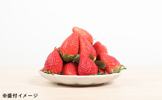 伊賀いちご園-プレミアムボックス-厳選15粒化粧箱入り | イチゴ ストロベリー strawberry 高級 贈答用 プレゼント ふくはる香 ゆうやけベリー ar001-aa