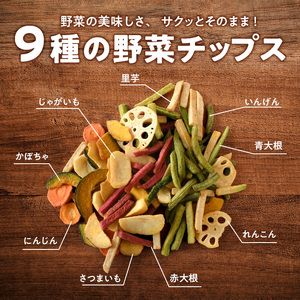 ピエトロ野菜チップス (9袋×50g) 9種の野菜 ピエトロドレッシング 野菜 チップス さつまいも かぼちゃ にんじん れんこん いんげん 大根 玉ねぎ サラダ おつまみ おやつ お菓子 おかし ス