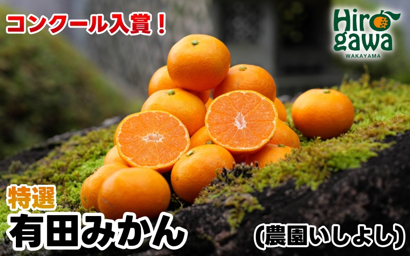 有田 みかん 特選 7.5kg【 創業120年 農家直送 】 / 温州みかん 有田みかん 甘い 高級 和歌山 柑橘 ※11月中旬～2月上旬に順次発送 【isy004-r-7d5C】