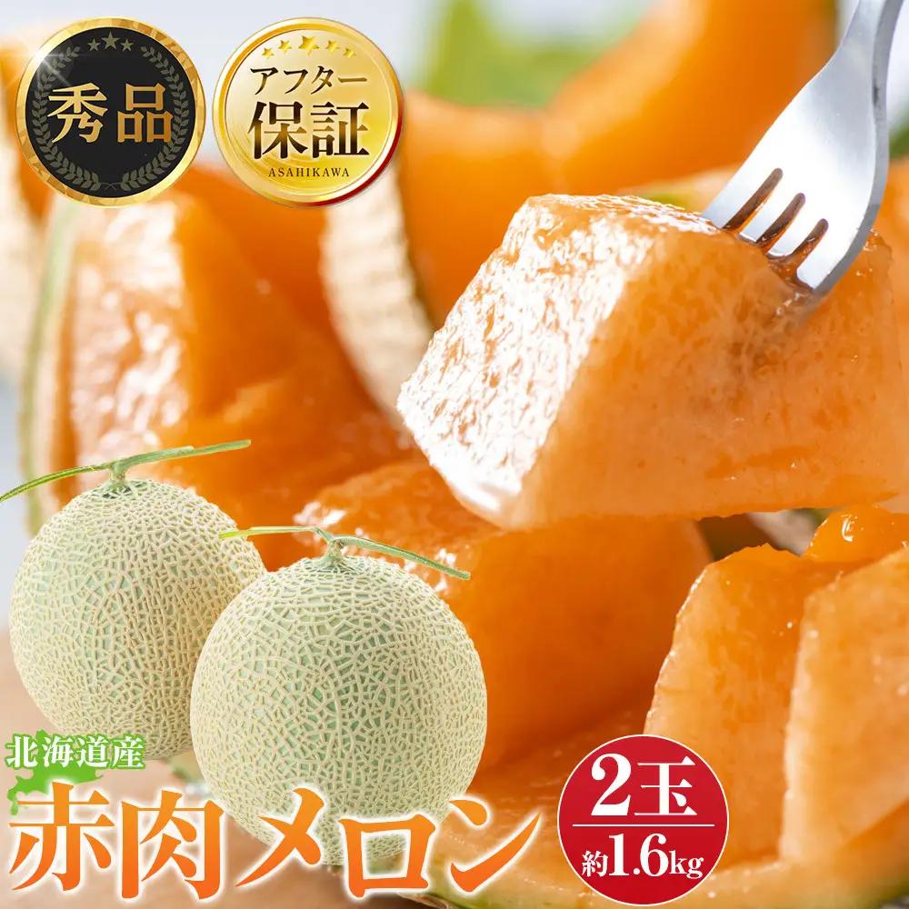 【先行予約】秀品 北海道産赤肉メロン約1.6kg×2玉 (2026年7月中旬から発送開始)  メロン _05926