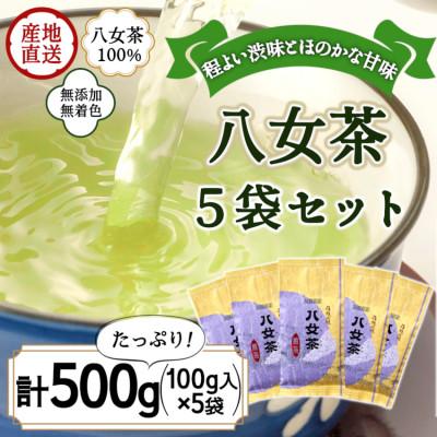 ふるさと納税 太宰府市 八女茶100% 煎茶 500g(100g×5袋)(太宰府市)