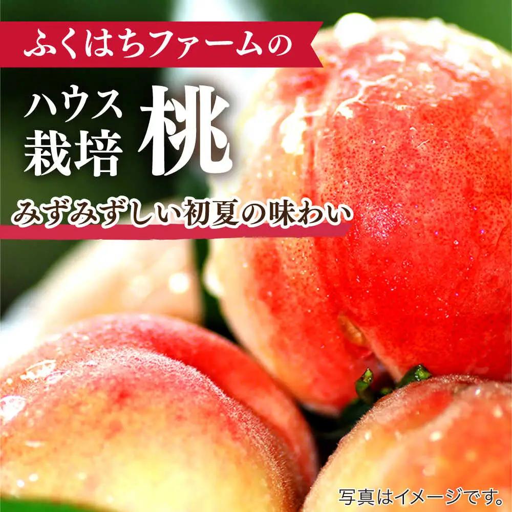 【2027年6月-発送】【2回定期便】南島原の桃を食べ比べ 化粧箱入り 計2kg 日川白鳳 夢富士 あかつき なつっこ / 桃 もも ハウス桃 フルーツ 果物 / 南島原市 / ふくはちファーム[SB