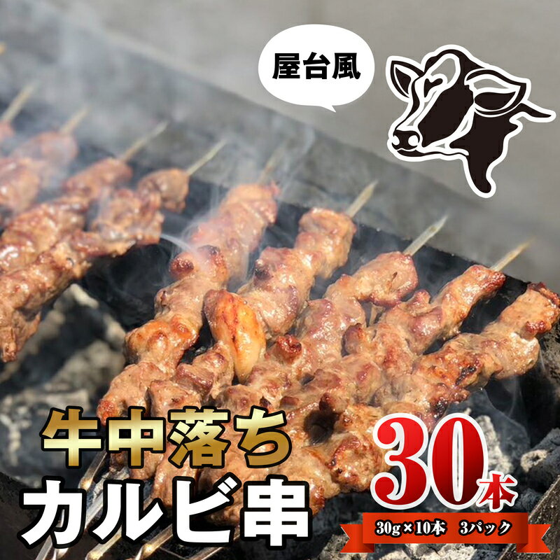 【ふるさと納税】牛中落ちカルビ串 30本 本場中国屋台の味 | 牛肉 中落ちカルビ カルビ 焼肉 串焼き 牛串 BBQ バーベキュー キャンプ アウトドア 贅沢 おつまみ 晩酌 おかず 冷凍 おすすめ お取り寄せ グルメ ギフト 贈答 贈り物 父の日 福岡県 須恵町