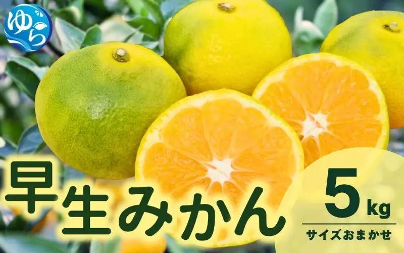 由良 早生 みかん (サイズおまかせ) 5kg ※2026年11月上旬～12月上旬に順次発送予定※北海道・沖縄・離島配送不可 / 温州みかん 甘い 柑橘 果物 和歌山 【eiw003-r-5】