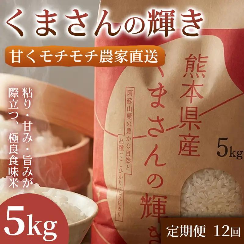 くまさんの輝き ブランド米 熊本県産 くまさんの輝き【5kg】【定期便12ヶ月】