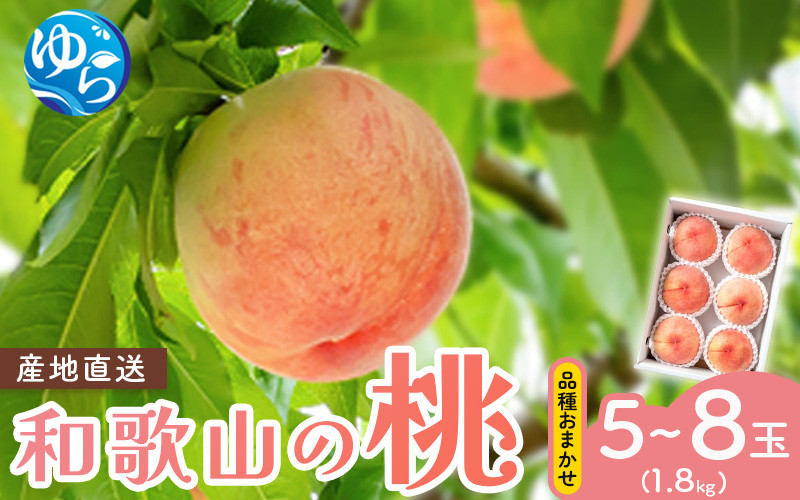 
            【先行予約】和歌山県産の桃 (5～8玉入り)【2025年6月中旬頃から8月上旬頃発送予定】 / もも モモ 桃 ギフト 贈り物 プレゼント 夏ギフト 果物 フルーツ 人気 産地直送 和歌山県 お取り寄せ【mat101B】
          