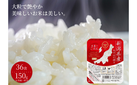 【6か月定期便】 パックご飯 150g×36食×6回 みずほの輝き 米杜氏 壱成 新潟良食味品種 大粒 艶やか つや 冷めてももっちり 1H15130