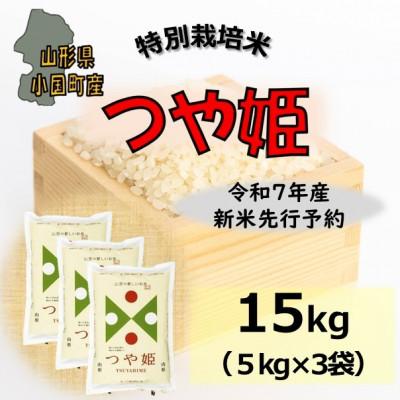 ふるさと納税 小国町 【令和7年産新米先行予約】つや姫15kg(5kg×3袋)山形県小国町産　精米　小国米穀商業協同組合