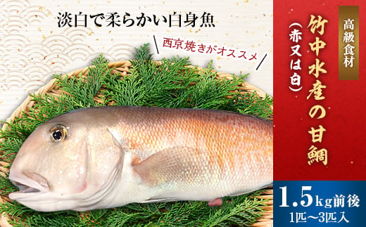 竹中水産の「甘鯛(赤又は白)1.5キロ前後」＜F22-261＞_ 鯛 タイ たい 甘鯛 鮮魚 天然 魚介 魚介類 海鮮 冷蔵 活き 愛媛 八幡浜 産直 産地直送 国産 高級魚 グルメ 【1075513】