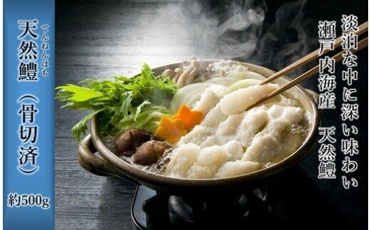 天然鱧（骨切済）500ｇ