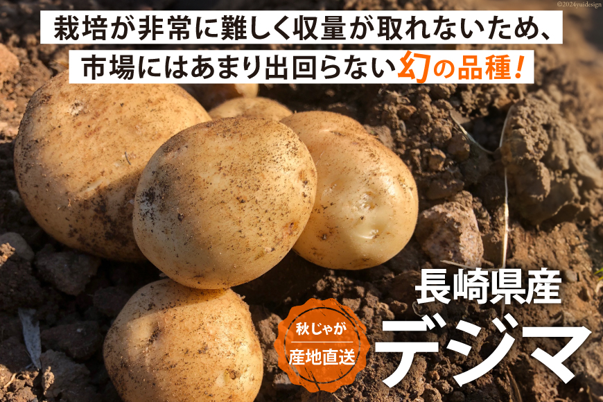 【期間限定発送】 じゃがいも なんぐしデジマ 秋作 5kg 大きめサイズ [なんぐしデジマプロジェクトチーム 長崎県 雲仙市 item1910] ジャガイモ 野菜 秋じゃが 秋じゃがいも 5キロ 期間