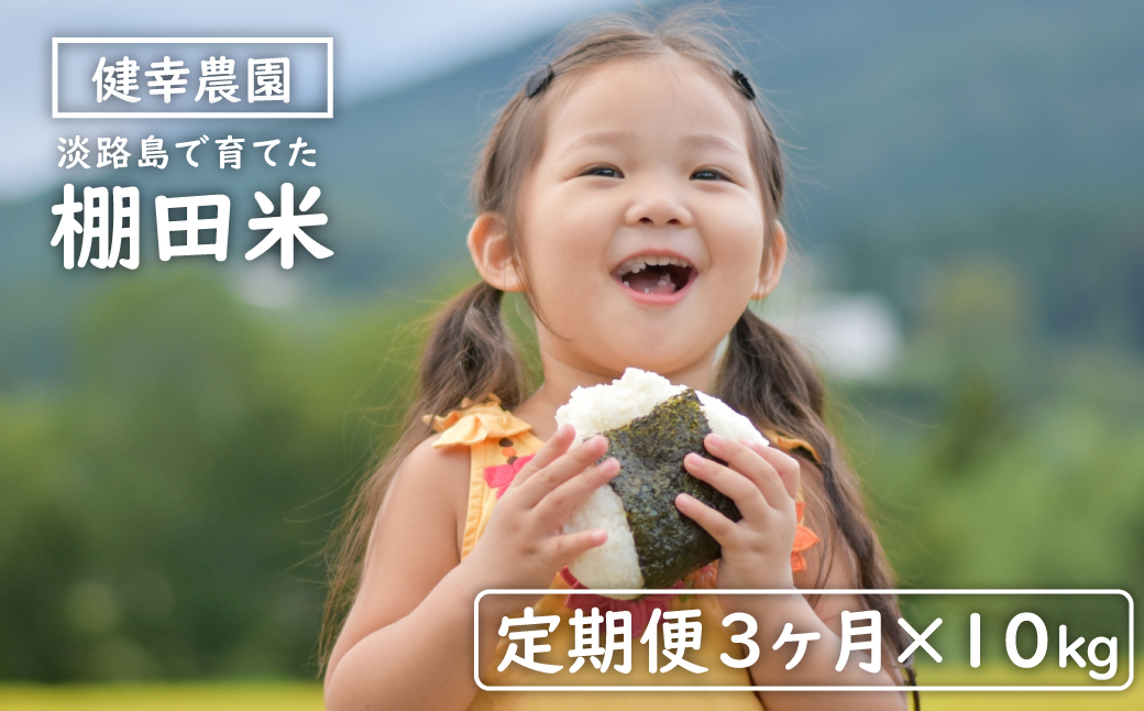 【定期便】健幸農園の棚田米 10kg×3ヵ月セット 精米 白米 農家直送