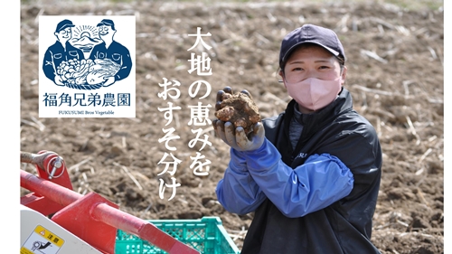 紫菊芋パウダー 100ｇ入 3袋 約60日分／菊芋 紫 薬草 腸活 水溶性食物繊維 イヌリン 朝食前 水 コーヒー ヨーグルト 奈良県 宇陀市