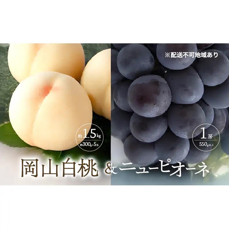 桃 ぶどう 2026年 先行予約 清水 白桃 5玉 約1.5kg 1玉約300g ニュー ピオーネ 1房 550g以上 桃 ピオーネ