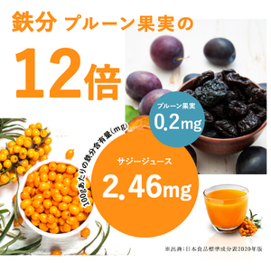 【定期便】 サジージュース+ゆず 1000ml×毎月1本 12ヶ月コース _DX10