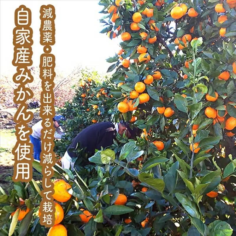 スイスで加工品を学んだ農家が手間暇かけた『手づくりジャムソース【みかん】』16本セット【 家庭用 自宅用 贈答品 贈答用 ギフト お取り寄せ お中元 お歳暮 贈り物 お祝い 神奈川県 小田原市 ジャム