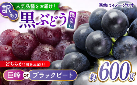 先行予約 訳あり人気の黒ぶどう(巨峰orブラックビート)約600g葡萄ぶどうブドウZFO007