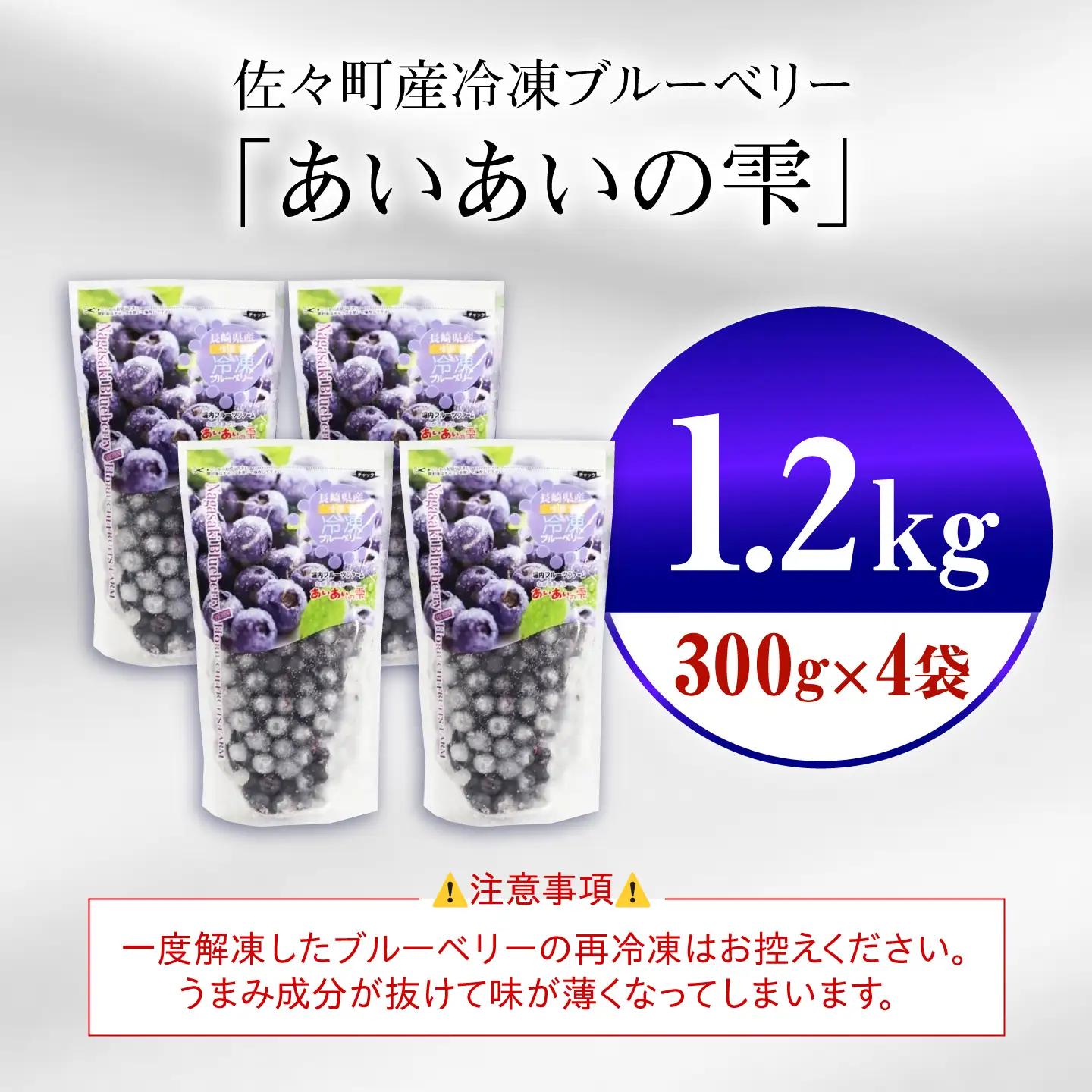 冷凍ブルーベリー 計1.2kg フルーツ ベリー 果物 小分け QAT017