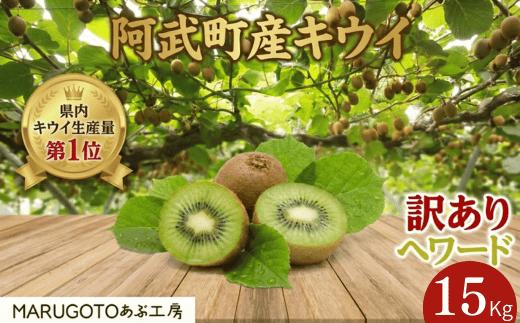 
                  【先行予約】【訳あり】キウイ ヘイワード 15kg 山口県阿武町産 家庭用 大容量 数量限定 国産 果物
                