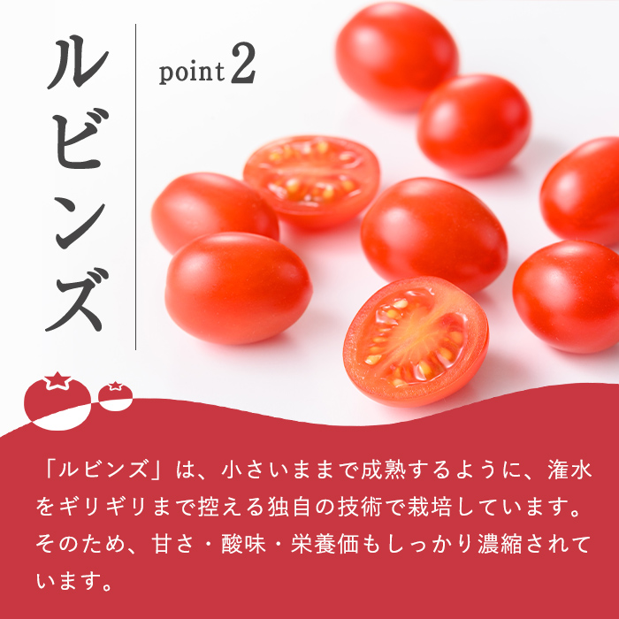 【先行予約】アメーラ＆ルビンズ5P ｜ トマト 野菜 国産