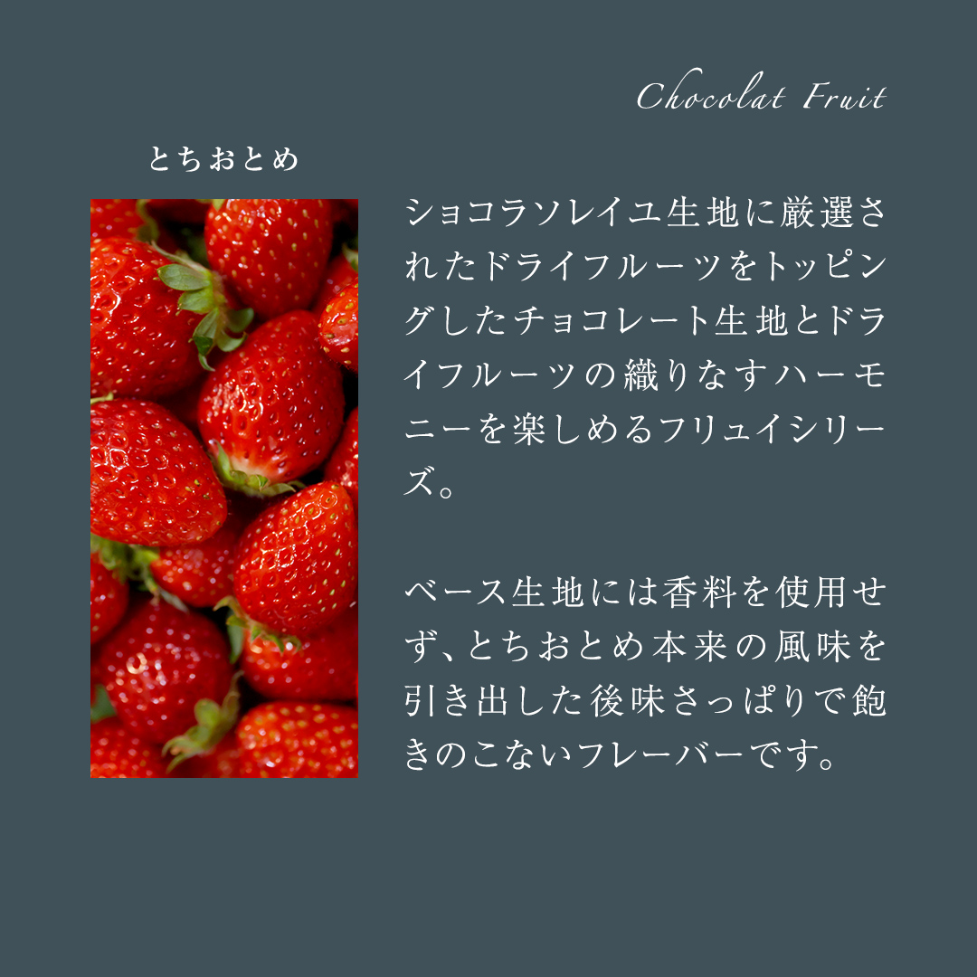 【 お歳暮 熨斗 付】 ショコラ フリュイ 4種セット（ とちお