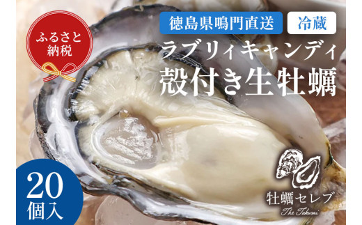 【牡蠣セレブ】ラブリィキャンディ ×20個   生食  カキ 殻付き 生牡蠣 かき 鳴門  かき ブランド牡蠣 海鮮 魚介 貝類 焼き牡蠣 蒸し焼き カキフライ アヒージョ 牡蠣ご飯