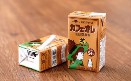 カフェオレ 250ml×24本 1ケース コーヒー牛乳 紙パック 常温保存可能